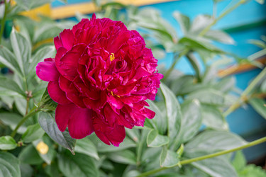 Similar image 21767520