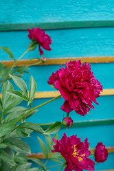 Similar image 21767521