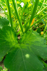 Similar image 21767528