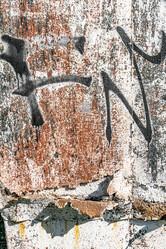 Similar image 21767540