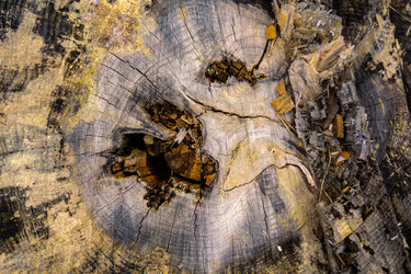 Similar image 21767542