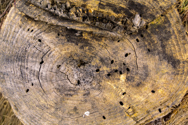 Similar image 21767543