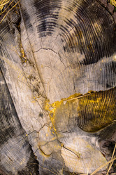 Similar image 21767545