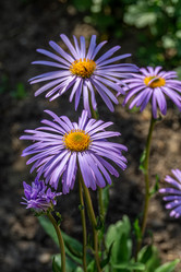 Similar image 21767548