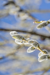 Similar image 21767551