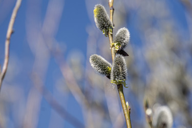 Similar image 21767552