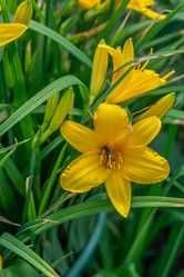 Similar image 21767554