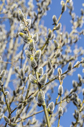 Similar image 21767555