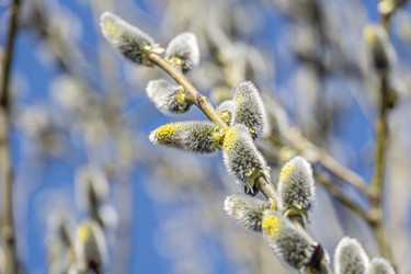 Similar image 21767556