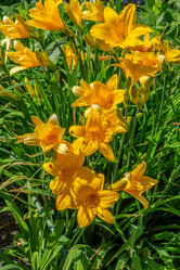 Similar image 21767557