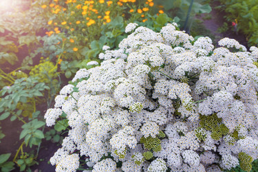 Similar image 21767561