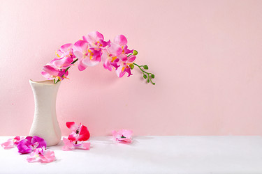 Similar image 21767604