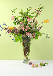 Similar image 21767608