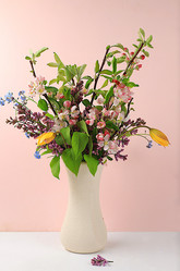 Similar image 21767609