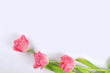 Similar image 21767613