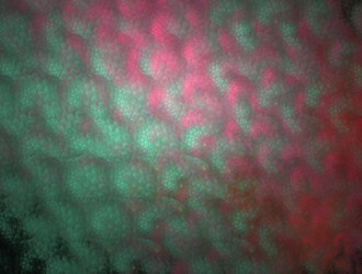 Similar image 21768207