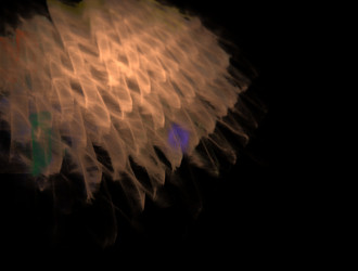 Similar image 21768210