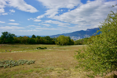 Similar image 21767631