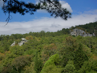 Similar image 21767635