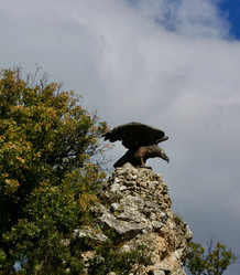 Similar image 21767638