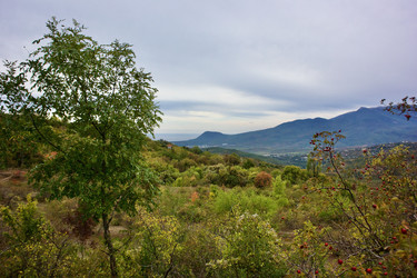 Similar image 21767649