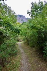 Similar image 21767650