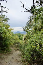 Similar image 21767651