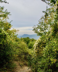 Similar image 21767652