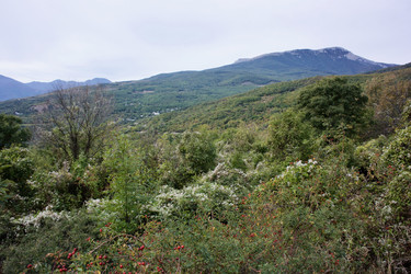 Similar image 21767653