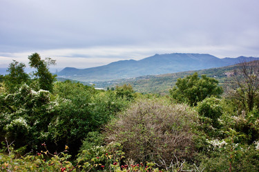 Similar image 21767654