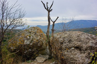 Similar image 21767657