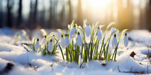 Similar image 21768484