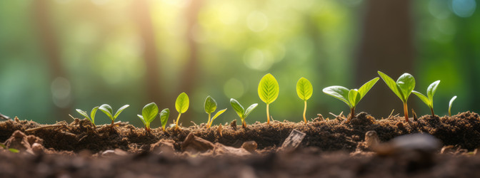 Similar image 21768487