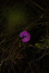 Similar image 21767245