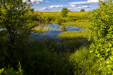 Similar image 21767669