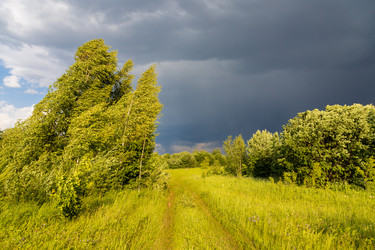 Similar image 21767670