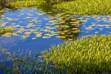 Similar image 21767671