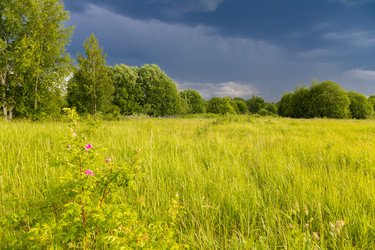 Similar image 21767672