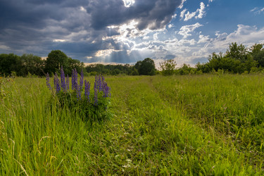 Similar image 21767673