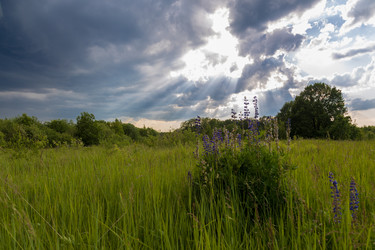 Similar image 21767674