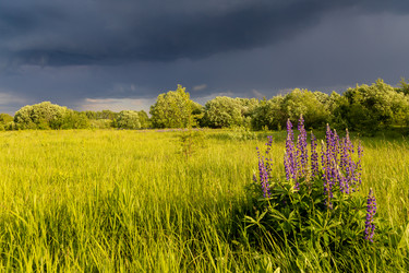 Similar image 21767675