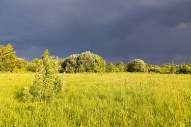 Similar image 21767676