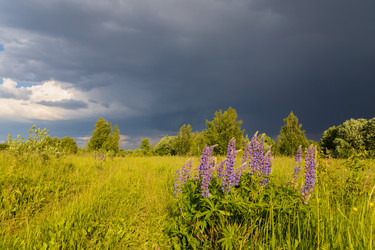 Similar image 21767677