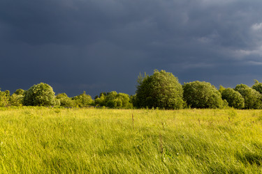 Similar image 21767678