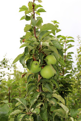 Similar image 21768959