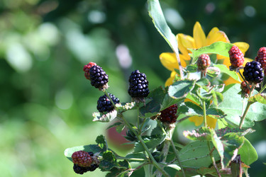 Similar image 21768968