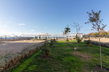 Similar image 21767687