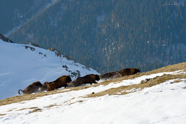 Similar image 21767246