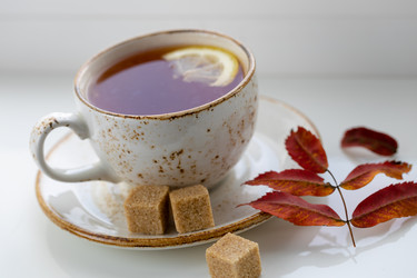 Similar image 21767699