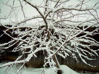 Similar image 21767745